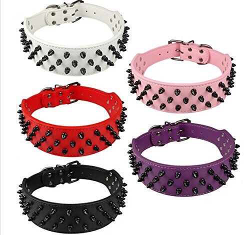 Dogs Kingdom Leather Black Spiked Studded Dog Collar 2" Wide, 31 Spikes 52 Studdeds Pit Bull, Boxer Collar - Image 4