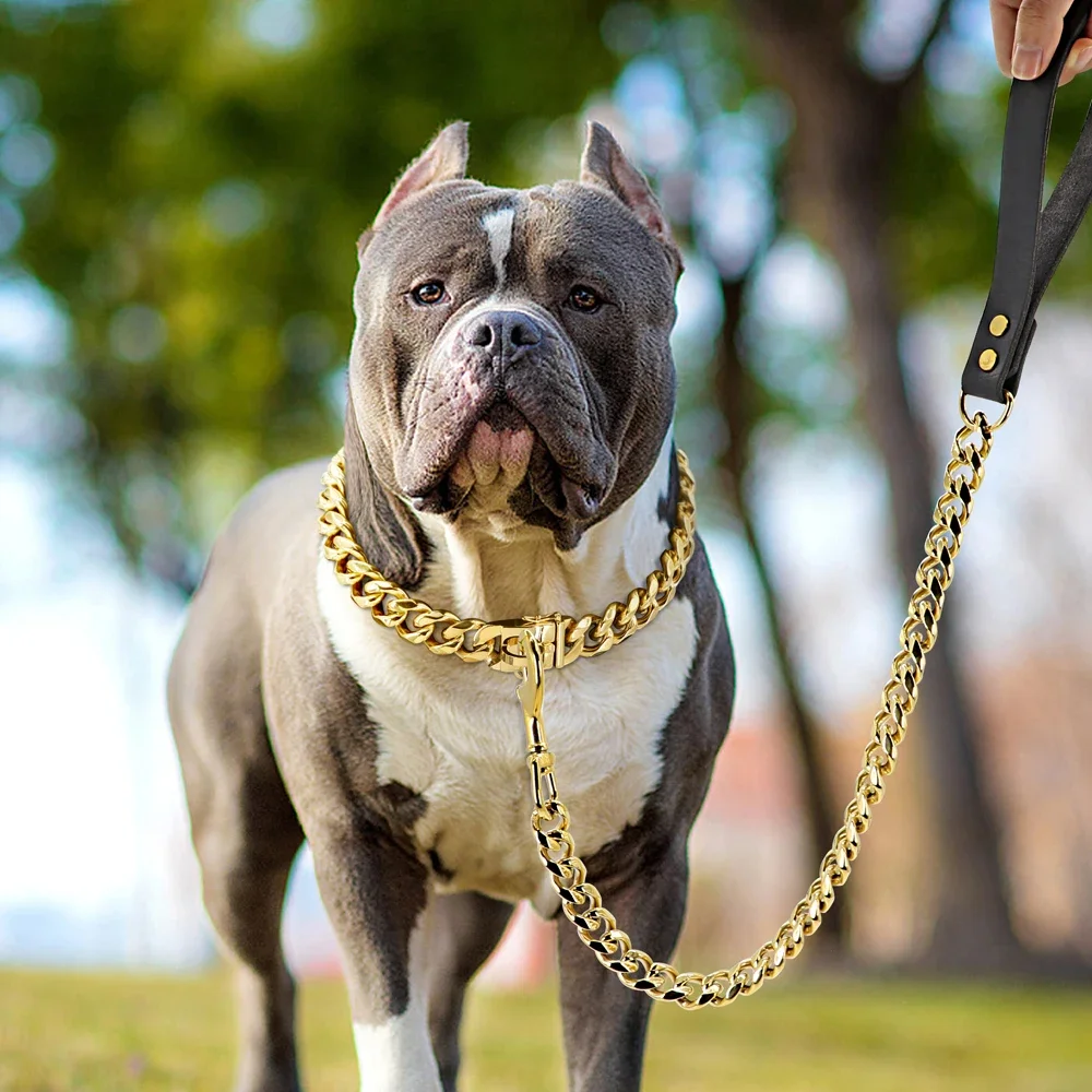 Stainless Steel Dog Leash Pet Lead Traction Super Strong Gold Collar Chain 32mm 19mm Bulldog Pitbull Large Dog Collar Leash - AliExpress 15 - Image 2