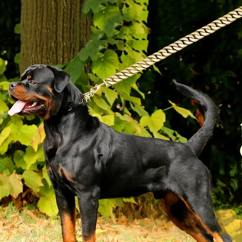 Stainless Steel Dog Leash Pet Lead Traction Super Strong Gold Collar Chain 32mm 19mm Bulldog Pitbull Large Dog Collar Leash - AliExpress 15 - Image 3