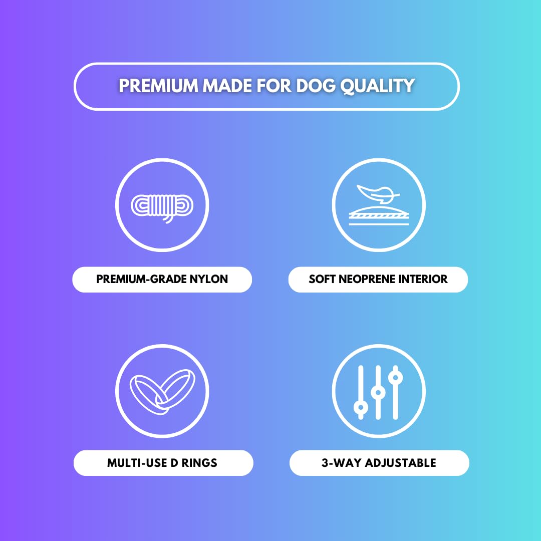 Spark Paws No-Pull Dog Harness - Designed for Safety and Control, Ideal for Large, Strong Breeds - Pitbulls, Boxers - 90s Retro ? M - Image 2