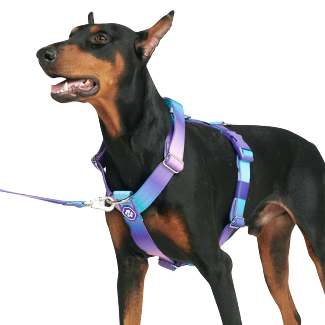 Spark Paws No-Pull Dog Harness - Designed for Safety and Control, Ideal for Large, Strong Breeds - Pitbulls, Boxers - 90s Retro ? M