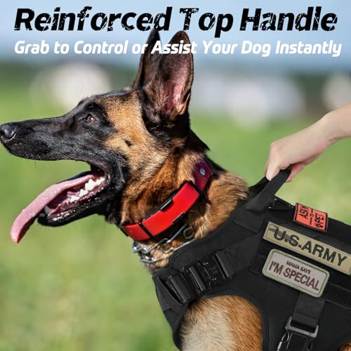 rabbitgoo Tactical Dog Harness for Large Dogs, Heavy Duty Dog Harness with Handle, No-Pull Service Dog Vest Large Breed, Adjustable Military Dog Vest Harness for Training Hunting Walking, Black, L - Image 5
