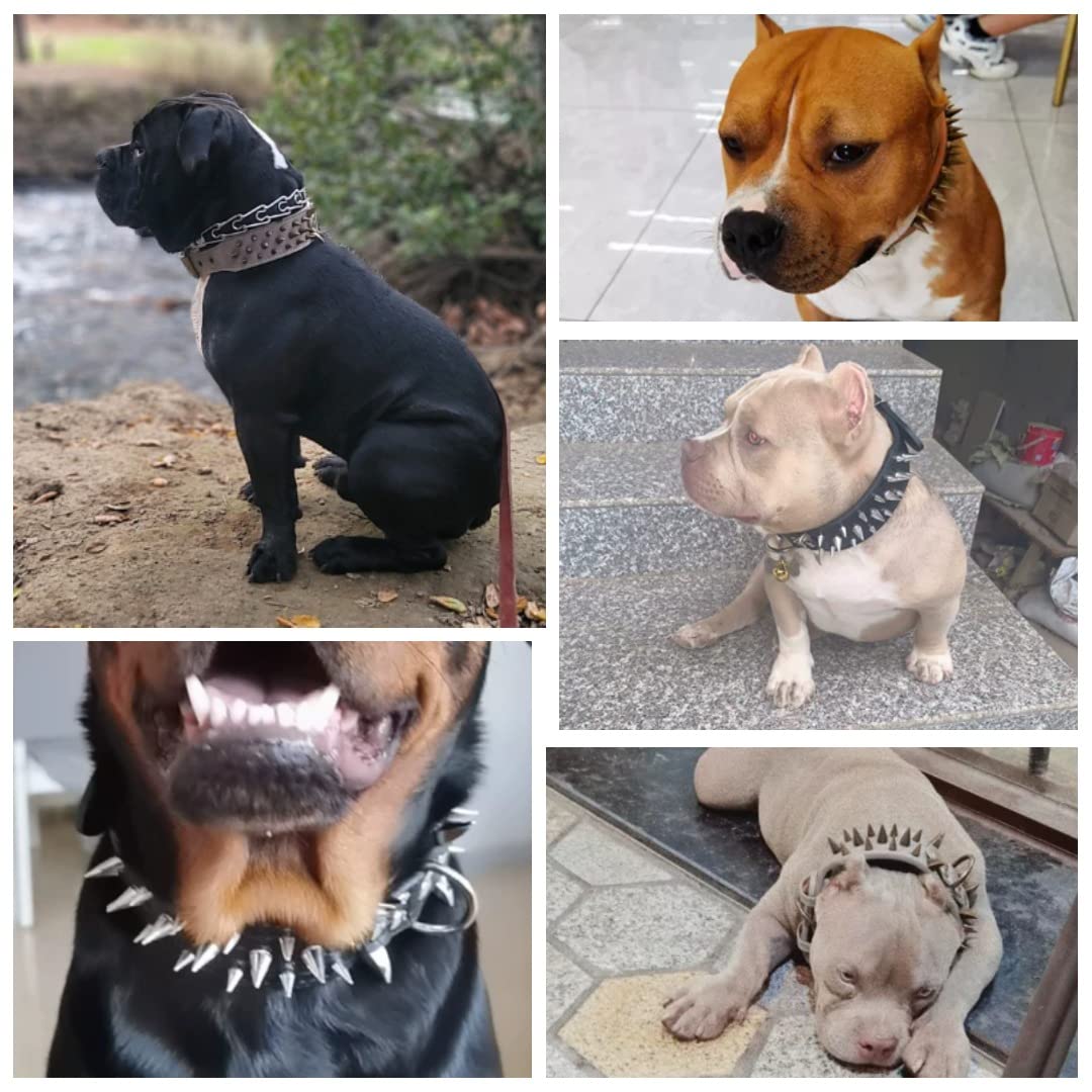 The Mighty Large Spiked Studded Dog Collar - Protect Your Dog's Neck from Bites, Durable & Stylish, for Large Dogs (Brown S) - Image 7