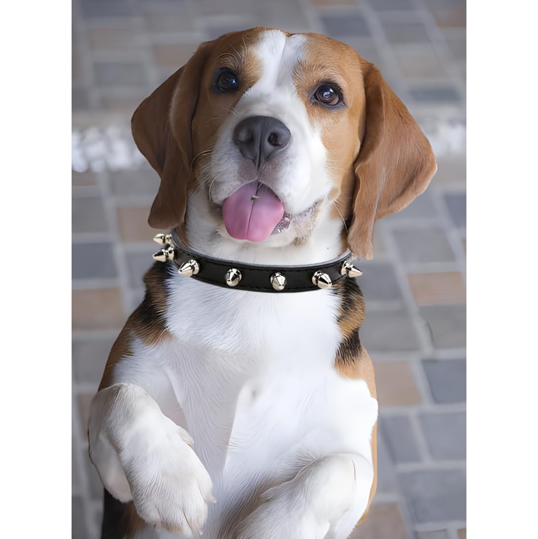 Dog Collars for Small Dogs, Spike Rivet Pu Leather Studded Stud Spiked Puppy Collar for XS Small Breed Pet Boy Dogs Male Cat Chihuahua, Black XS - Image 6