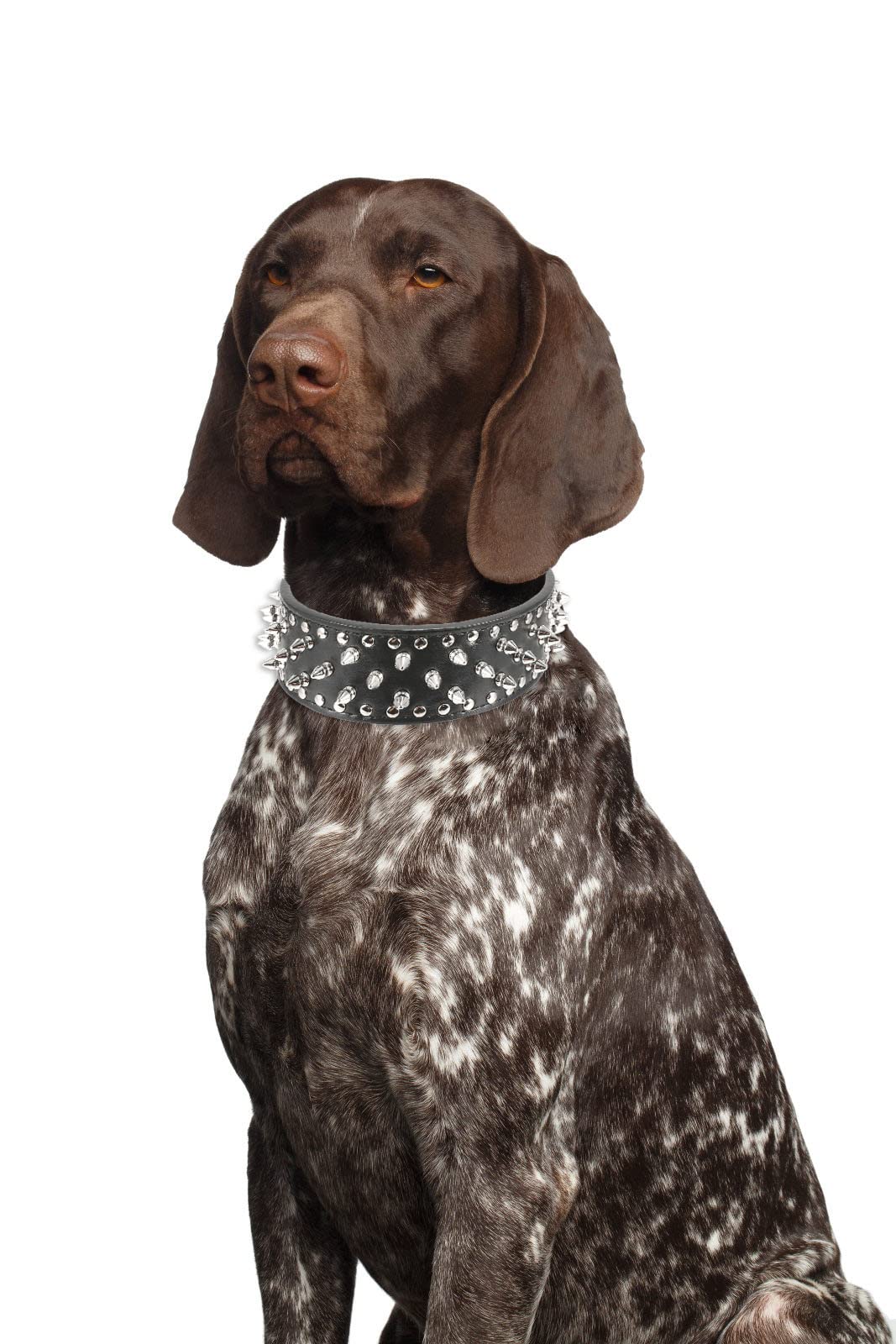 KocaPlye Spiked Dog Collar Rivet Studded Adjustable PU Leather Spikes Collar for Medium Large Dogs 2" Wide Spike Collars - Image 3