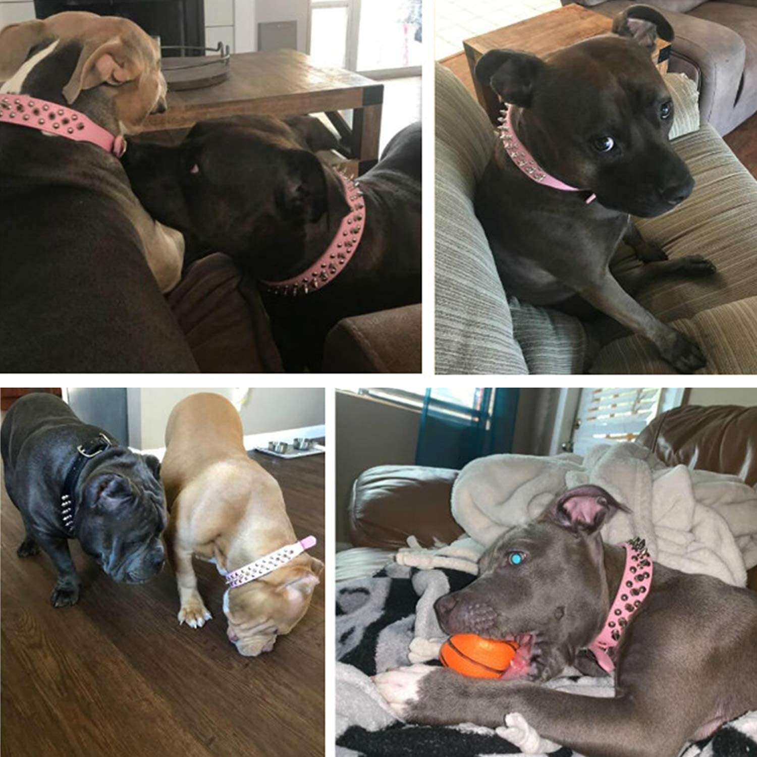 TEEMERRYCA Adjustable Leather Spiked Studded Dog Collars with a Squeak Ball Gift for Small Medium Large Pets Like Cats/Pit Bull/Bulldog/Pugs/Husky, Pink, L(15"-18.5") - Image 6