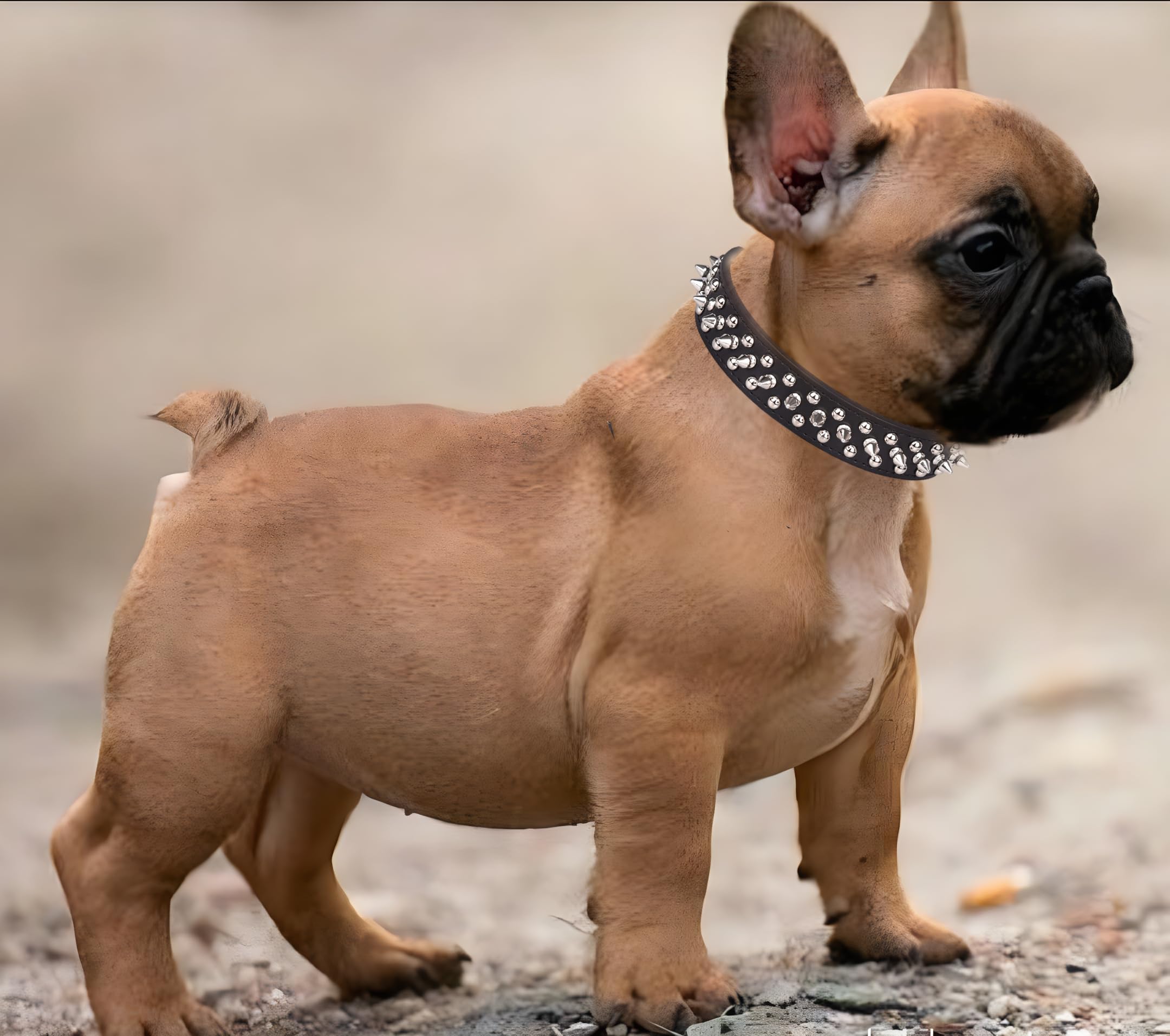 Spiked Dog Collar, Mushrooms Rivet Spike Anti-Bite Studded Protective Pet Neck Pu Leather Puppy Collars for XXS XS Small Medium Large Boy Dogs Male Cats Goat, Black S - Image 3