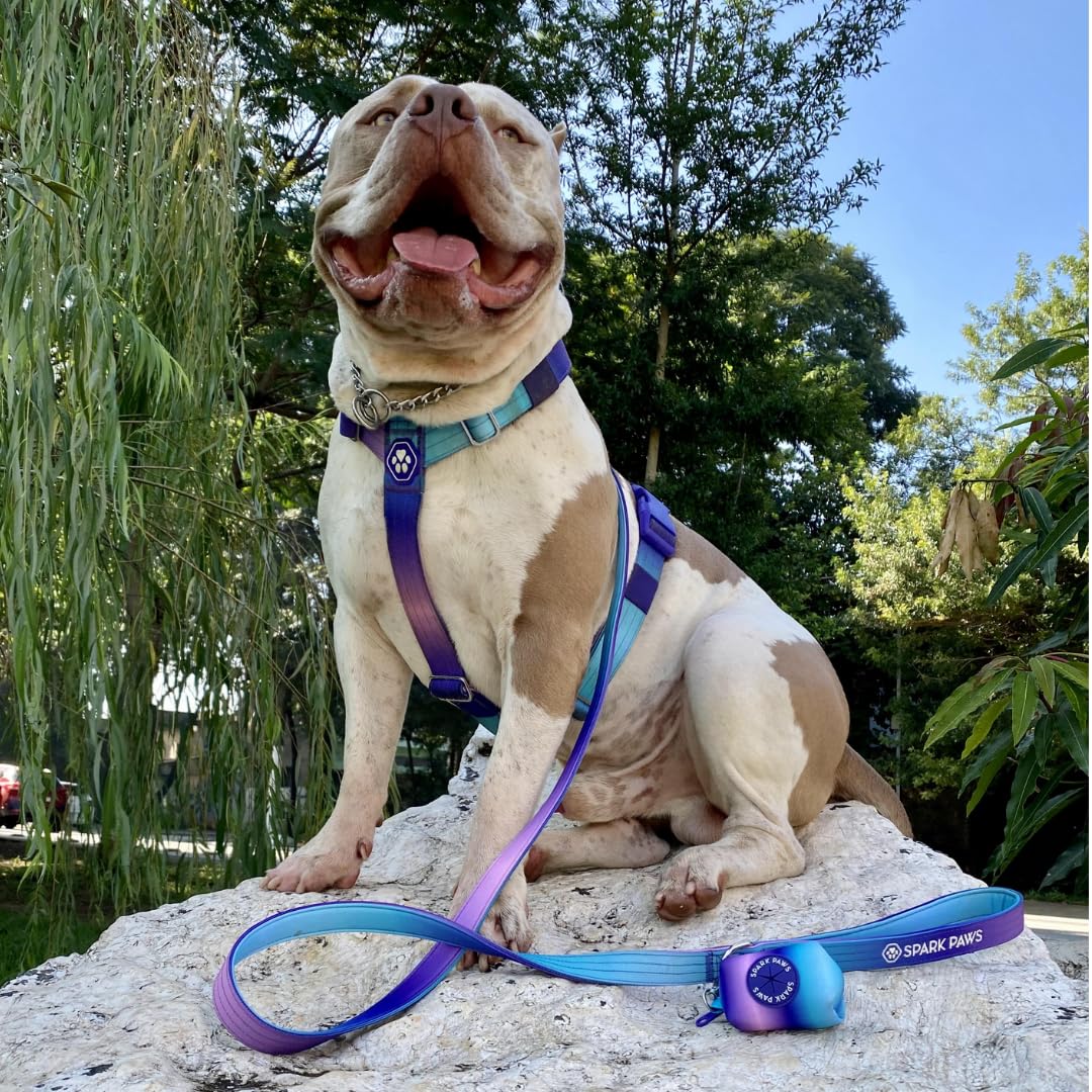 Spark Paws No-Pull Dog Harness - Designed for Safety and Control, Ideal for Large, Strong Breeds - Pitbulls, Boxers - 90s Retro ? M - Image 4