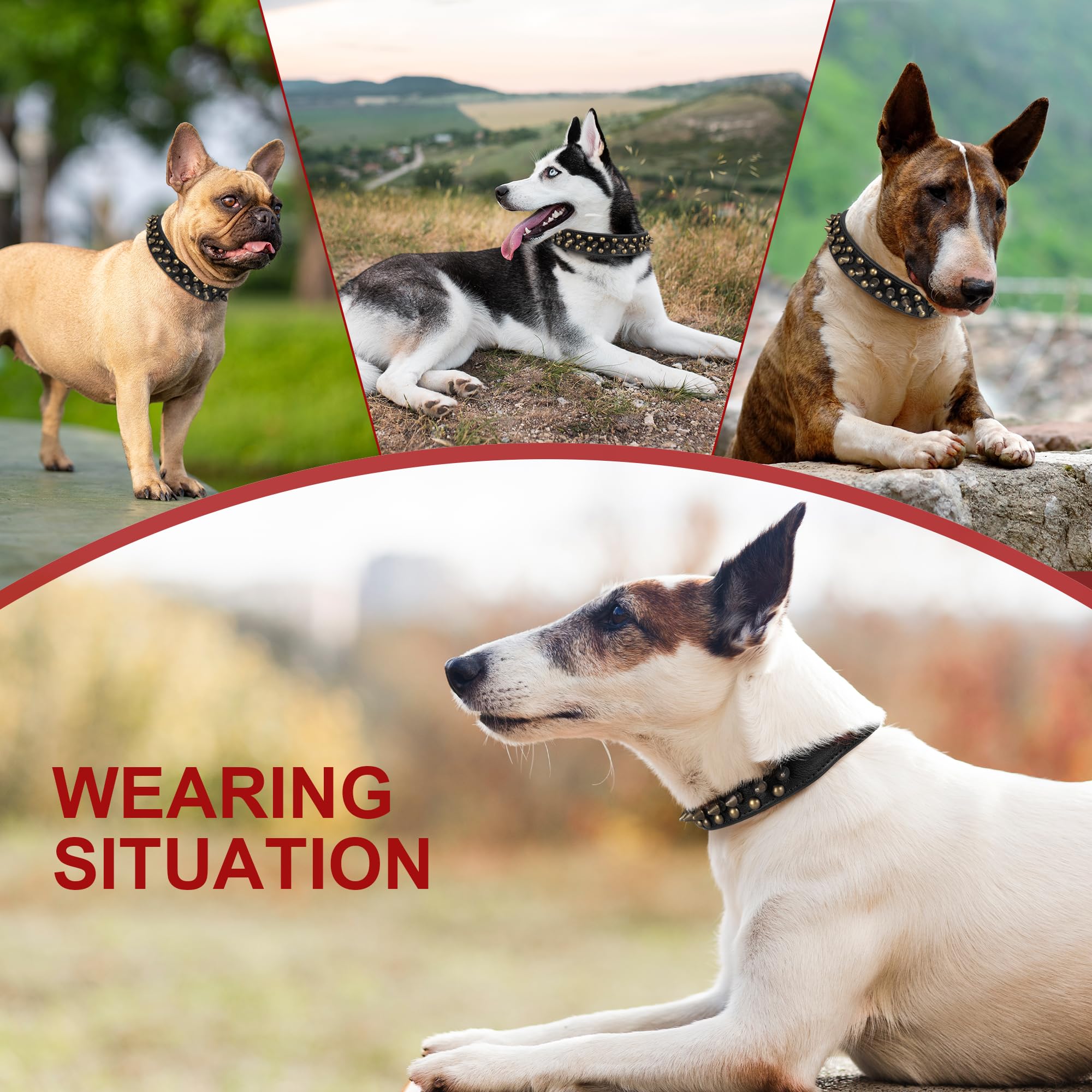 Spiked Leather Dog Collar with Bullet Rivets, Soft and Adjustable for Small Medium and Large Dogs(Black,M) - Image 3