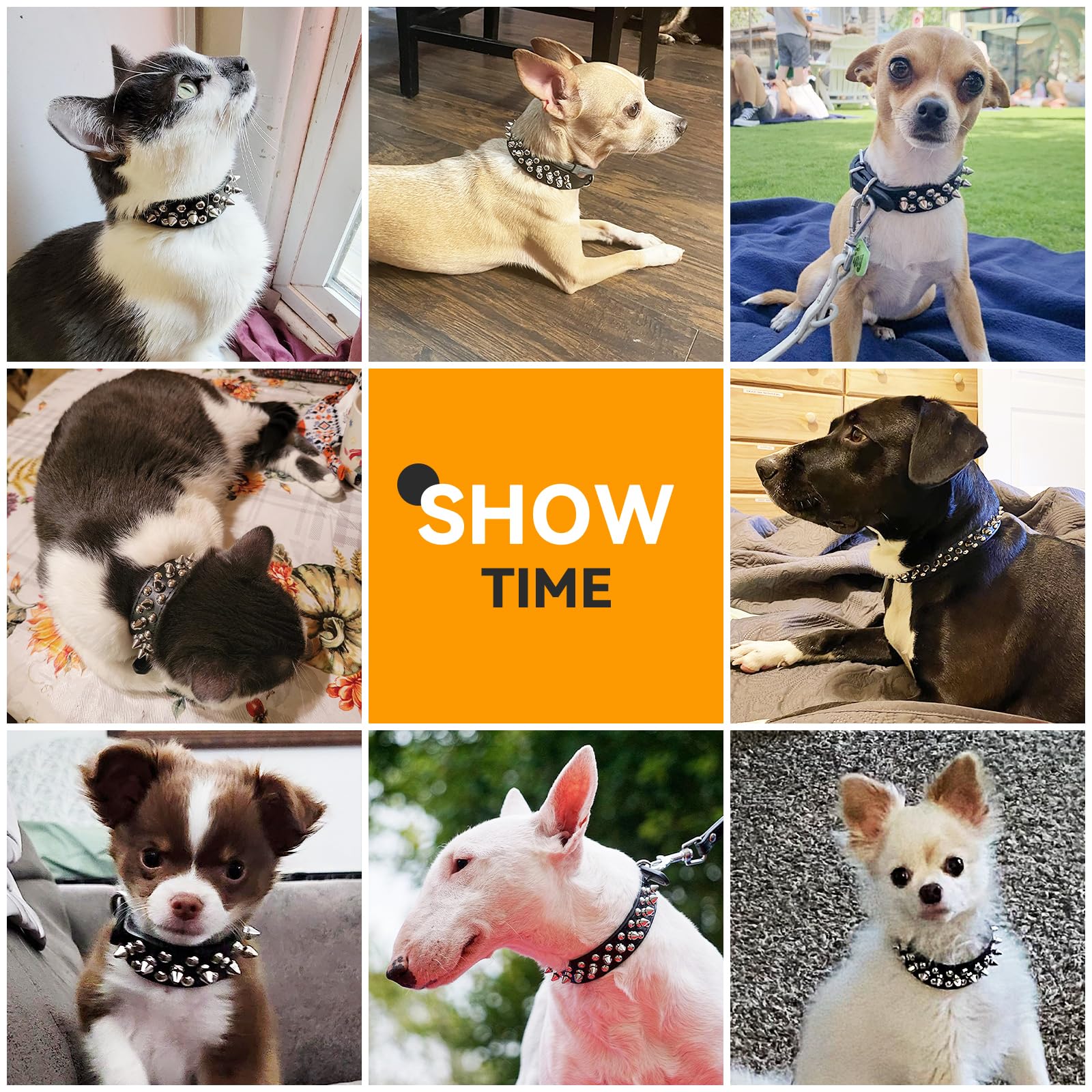 PETCARE Spiked Dog Collar Black Soft Pu Leather Funny Mushrooms Rivet Spike Studded Puppy Collar Adjustable Outdoor Pet Dog Collar for Small Medium Large Dogs Cats Chihuahua Pug Pit Bull Dog Collars - Image 6