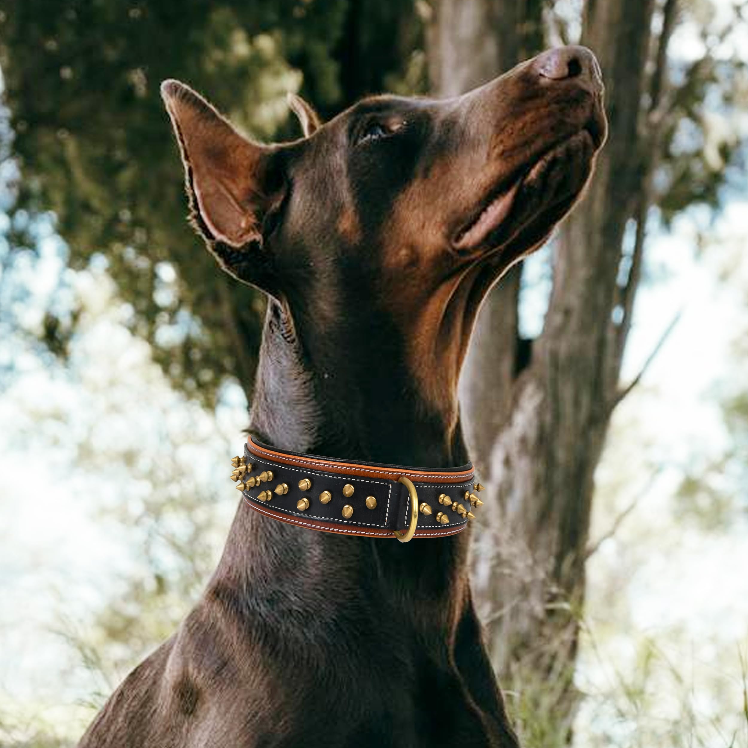 Leatherific Spike Dog Collar | Spiky Series | Premium Genuine Bridle Leather, Heavy Duty, Padded, Strong | for Medium, Large, XL Breeds | Black Brown | 2" Wide - Image 9