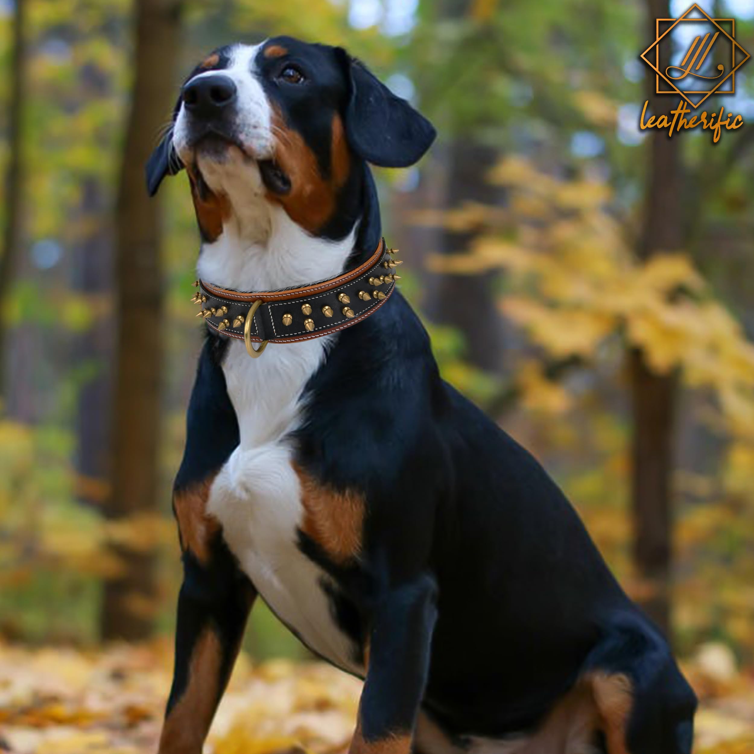 Leatherific Spike Dog Collar | Spiky Series | Premium Genuine Bridle Leather, Heavy Duty, Padded, Strong | for Medium, Large, XL Breeds | Black Brown | 2" Wide - Image 4