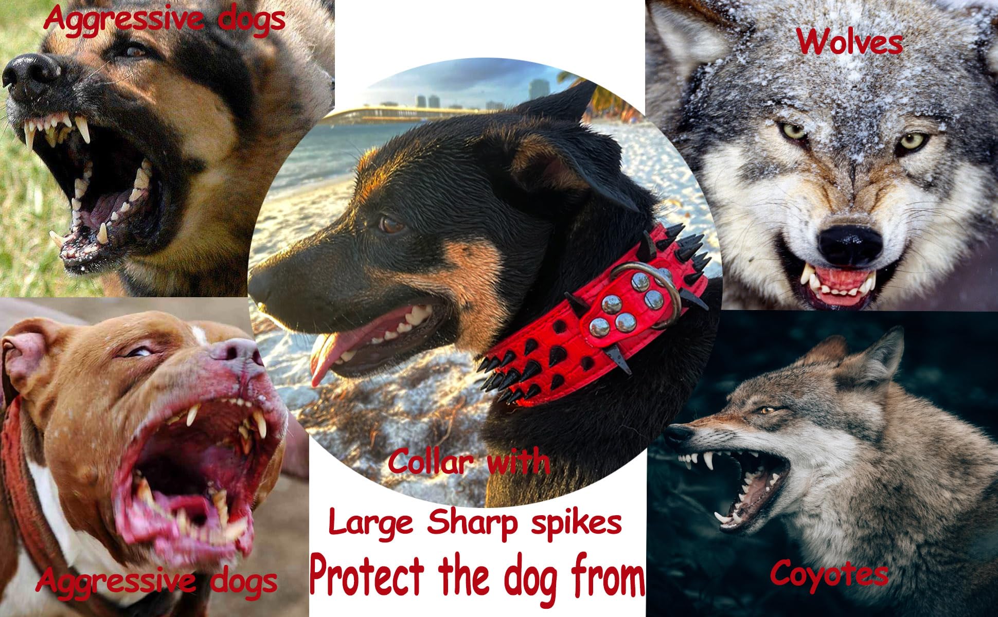 Kawagogo Spiked Studded Dog Collar with Large Sharp Spikes,2 Inch Wide Leather Dog Collar,Anti-bite,Fit Large Medium Dogs,Pitbull Doberman (L Adjust:19.7''-24.4'', Brown) - Image 5