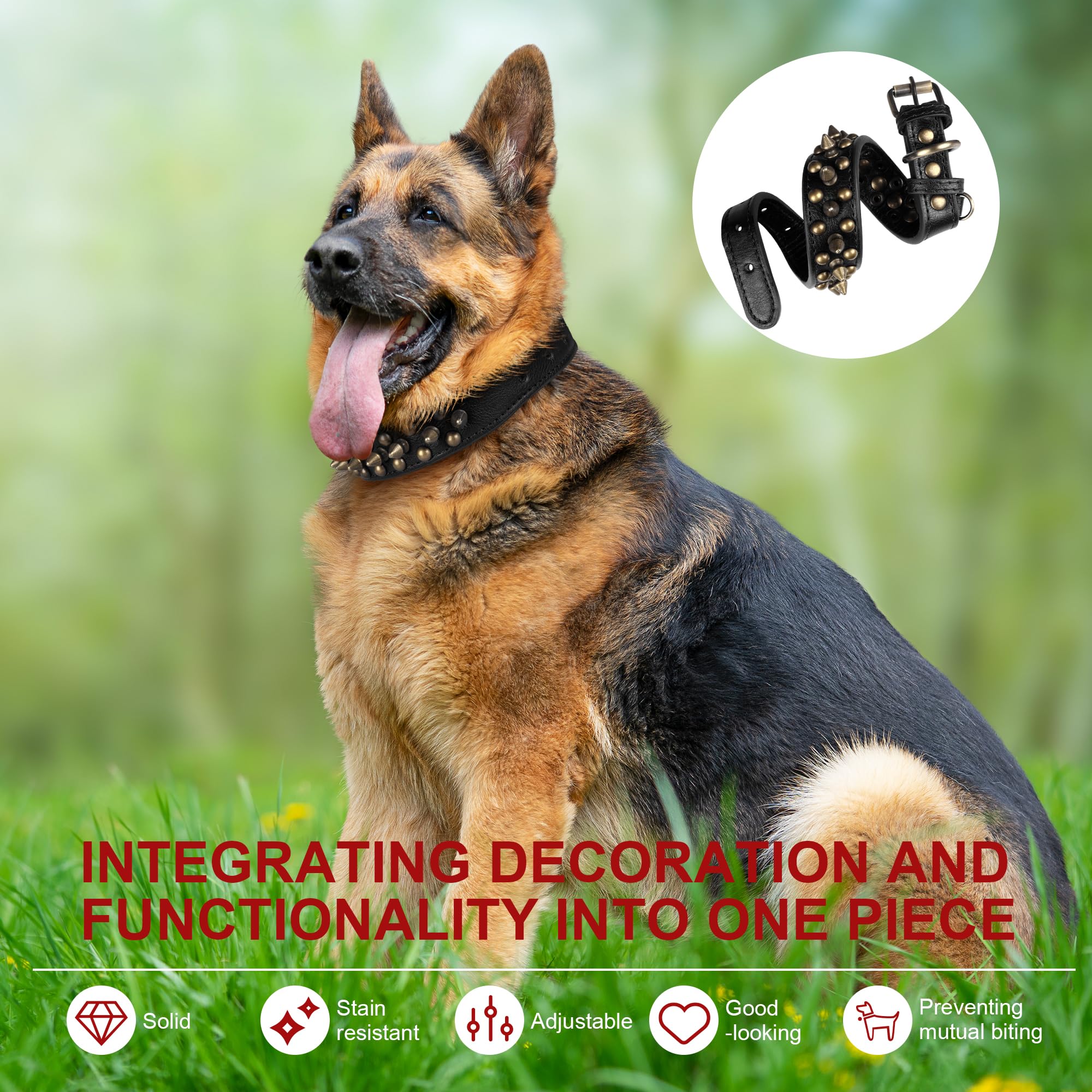 Spiked Leather Dog Collar with Bullet Rivets, Soft and Adjustable for Small Medium and Large Dogs(Black,M) - Image 5