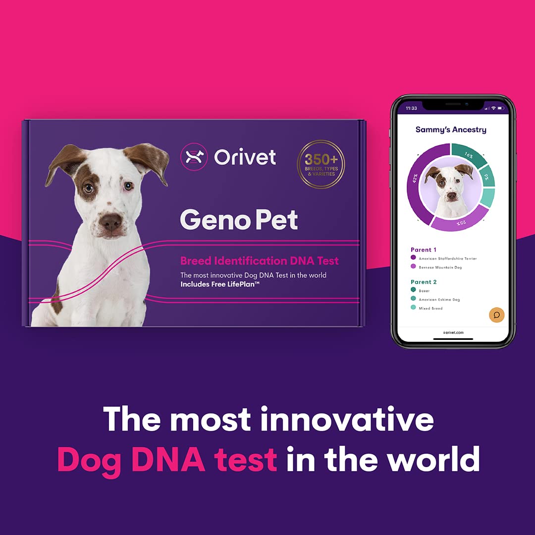 Orivet Genopet Dog DNA Test | Dog Breed Test Kit, Genetic Testing, Heritable Health Risks and Life Plan - Image 7