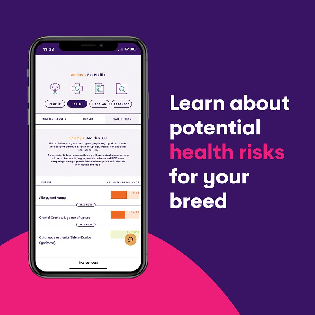 Orivet Genopet Dog DNA Test | Dog Breed Test Kit, Genetic Testing, Heritable Health Risks and Life Plan - Image 5