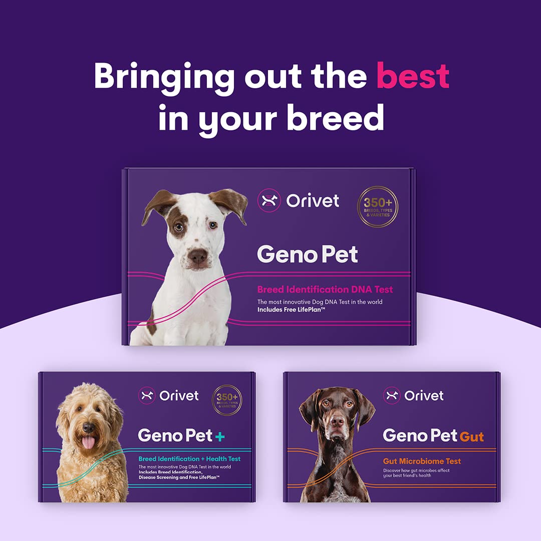 Orivet Genopet Dog DNA Test | Dog Breed Test Kit, Genetic Testing, Heritable Health Risks and Life Plan - Image 2