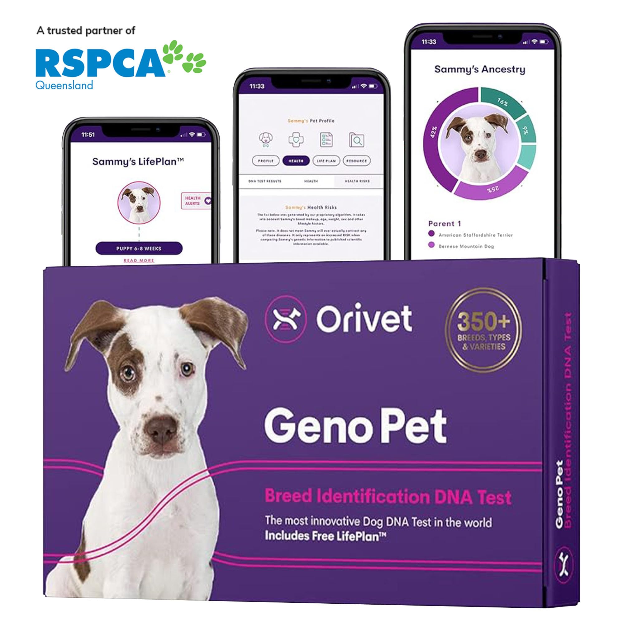 Orivet Genopet Dog DNA Test | Dog Breed Test Kit, Genetic Testing, Heritable Health Risks and Life Plan