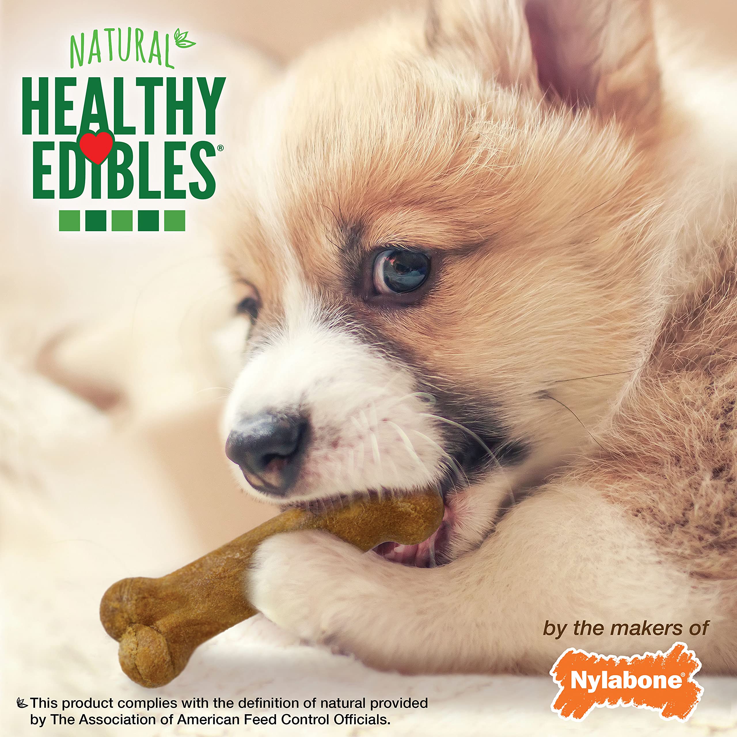 Nylabone Healthy Edibles Natural Puppy Chews Long Lasting Roast Beef, Apple & Bacon Treats for Puppies, X-Small/Petite (3 Count) - Image 2