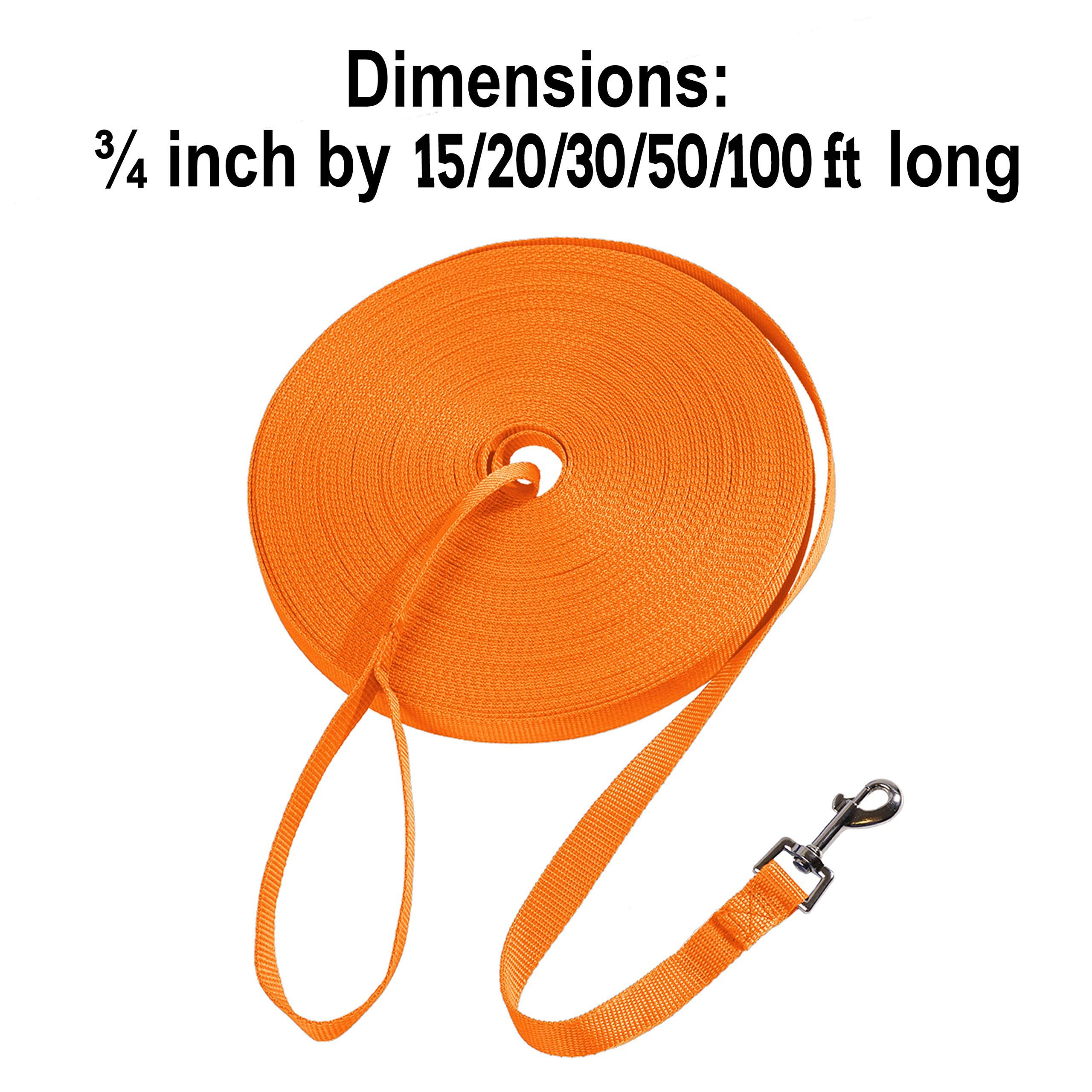 Hi Kiss Dog/Puppy Obedience Recall Training Agility Lead - 15ft 20ft 30ft 50ft 100ft Leash - Great for Play, Camping, or Backyard - Orange - Image 5