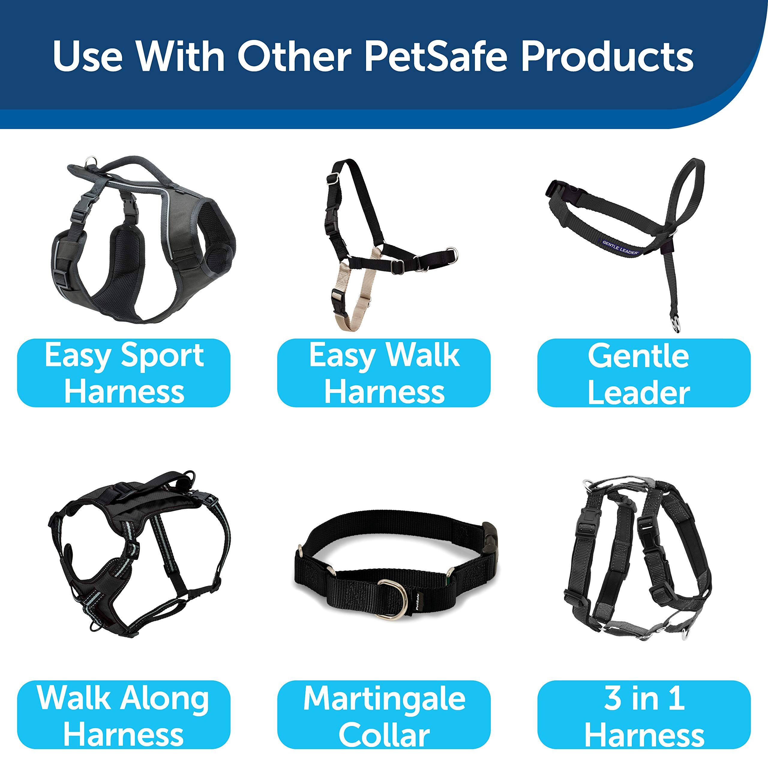 PetSafe Nylon Dog Leash ? Strong, Durable, Traditional Style Leash with Easy to Use Bolt Snap for Small, Medium and Large Dogs ? 3/4" x 4', Black - Image 2