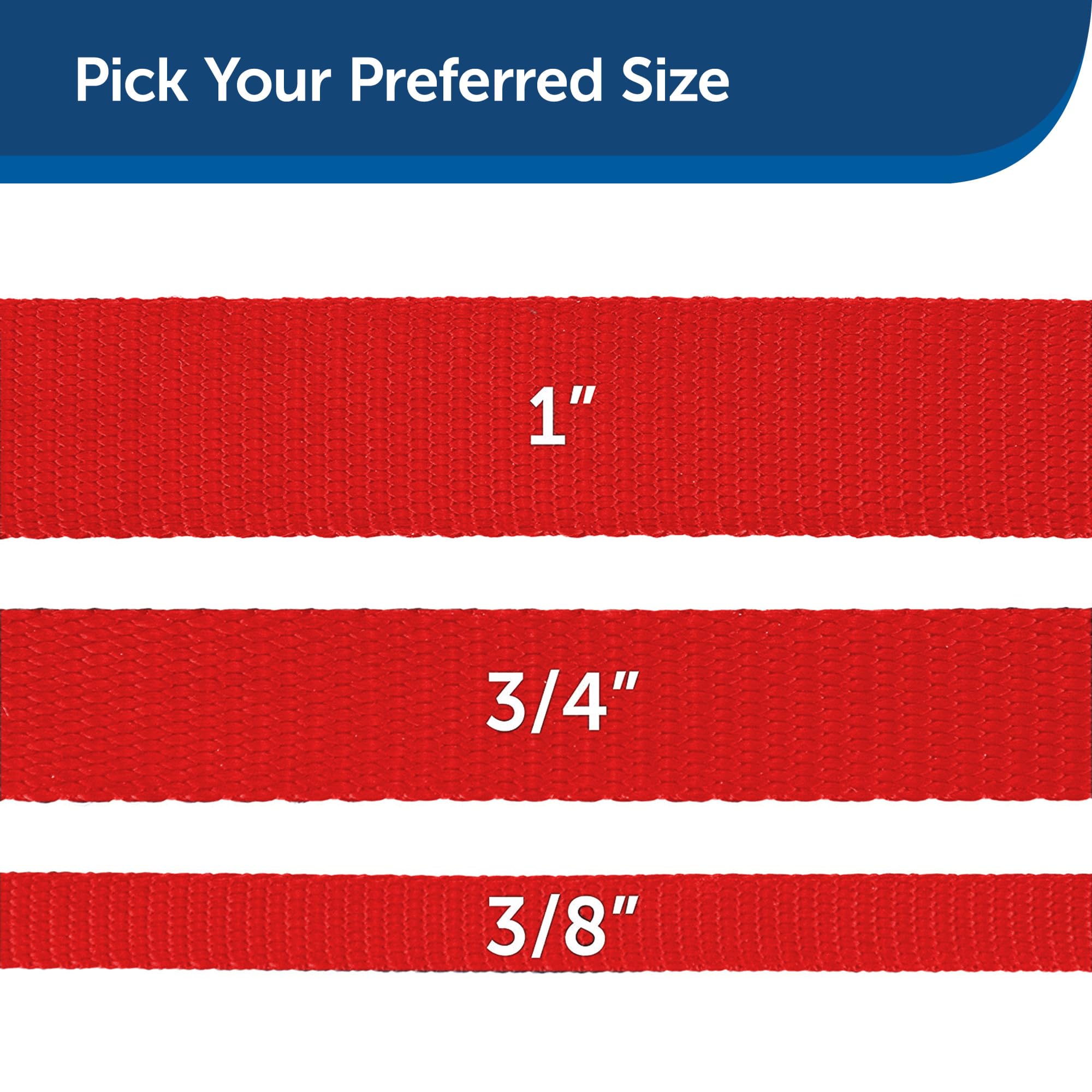 PetSafe Nylon Dog Leash ? Strong, Durable, Traditional Style Leash with Easy to Use Bolt Snap for Small, Medium and Large Dogs ? 3/8" x 6', Red - Image 3