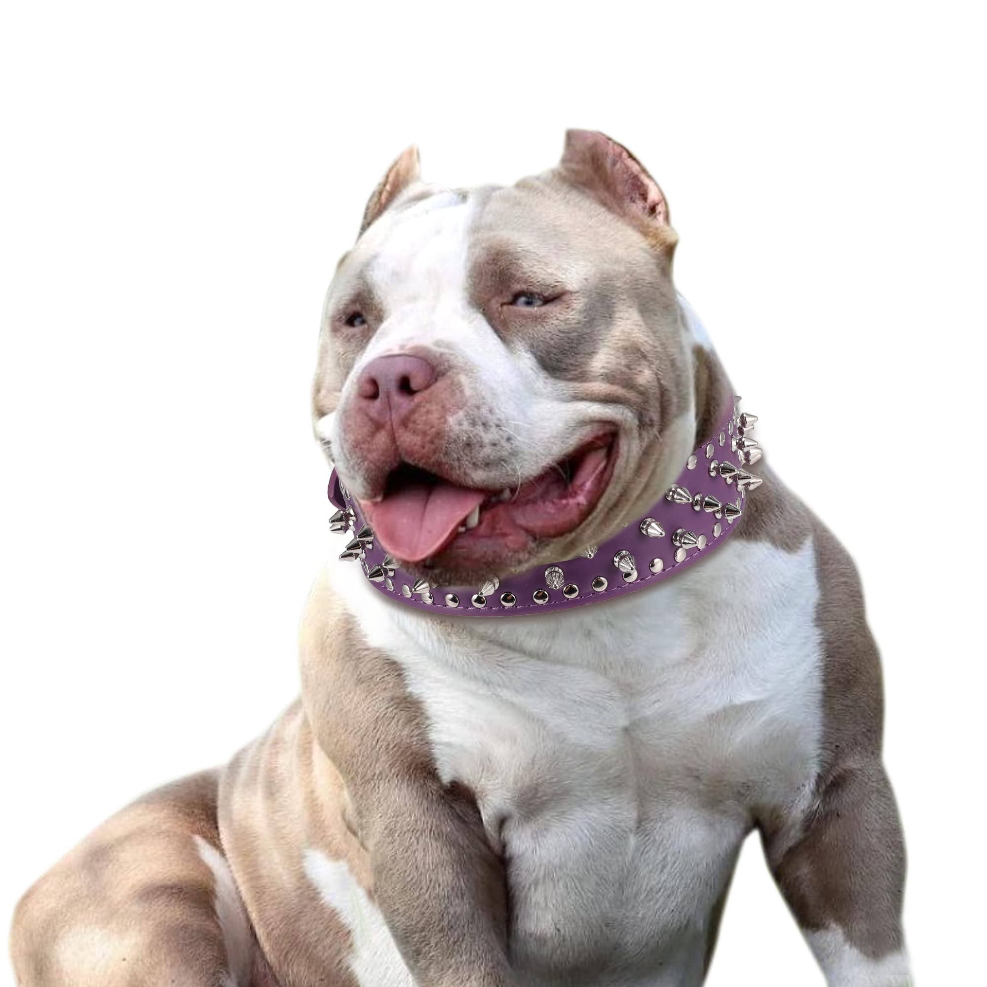 BTDCFY Hoot PU Leather Adjustable Spiked Studded Dog Collar 2" Wide 31 Spikes 52 Studs (S(Neck 17"-20"), Purple) - Image 3