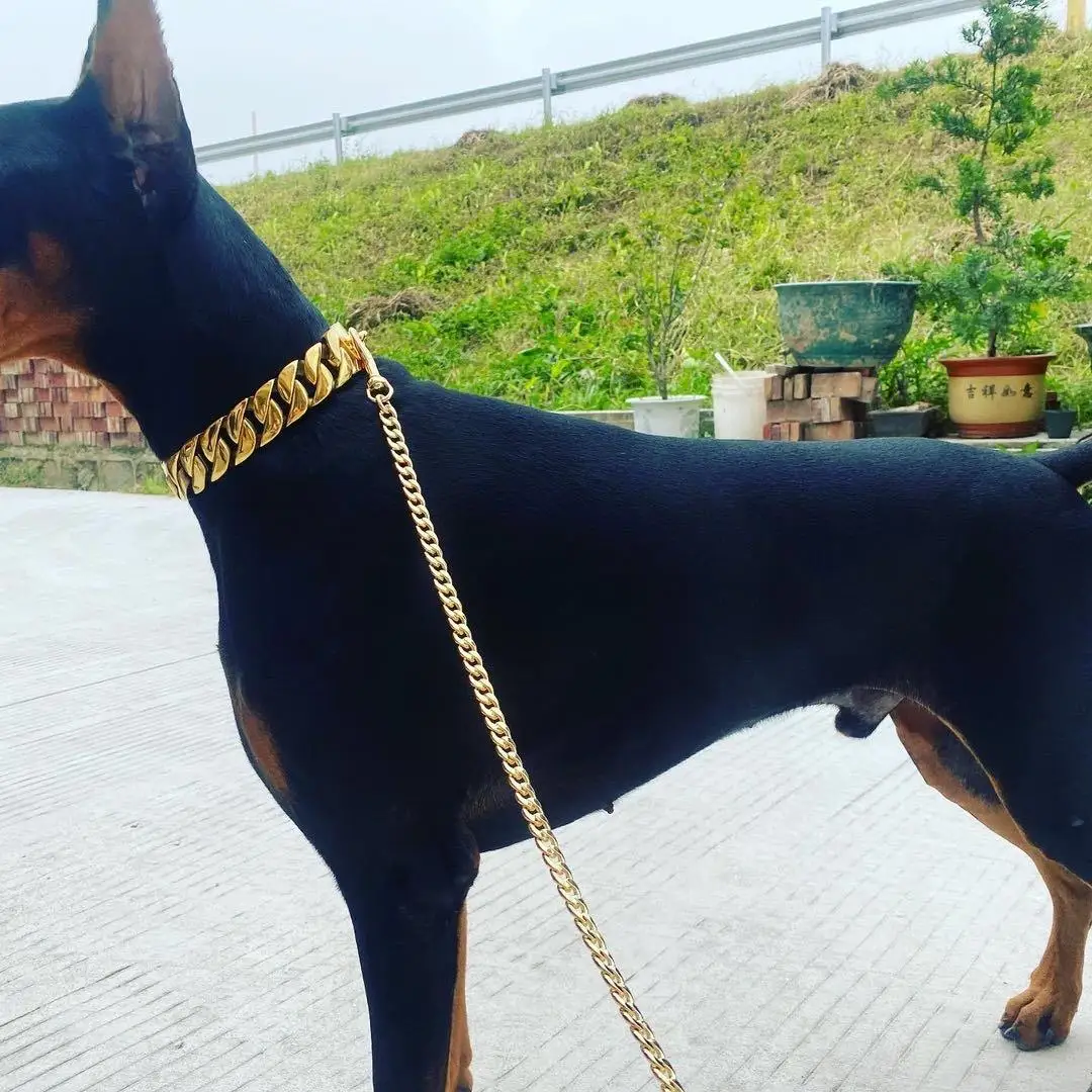 32mm Wide Gold Dog Chain Collars Heavy Strong Stainless Steel Dog Choker Pitbull Gold Dog Necklace For Large Dogs - AliExpress 15 - Image 3