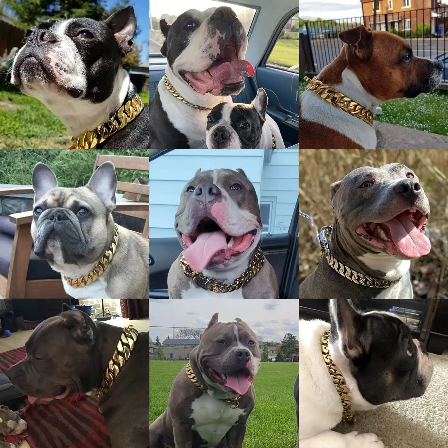 32mm Wide Gold Dog Chain Collars Heavy Strong Stainless Steel Dog Choker Pitbull Gold Dog Necklace For Large Dogs - AliExpress 15 - Image 4